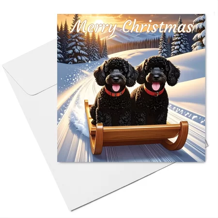 Black Cockapoos on Sled Christmas Card & Envelope