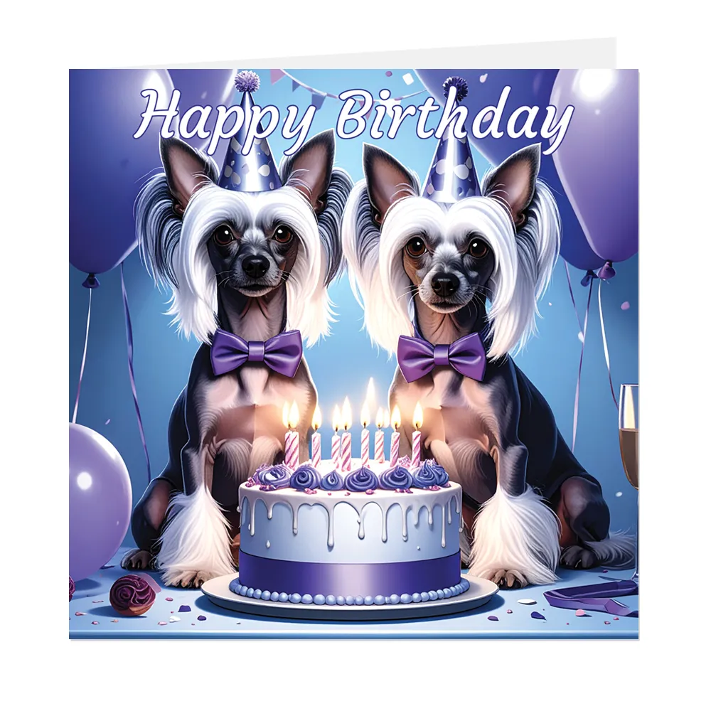 Chinese Crested Birthday Card