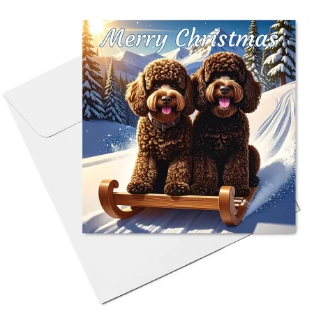 cockapoo christmas card & envelope