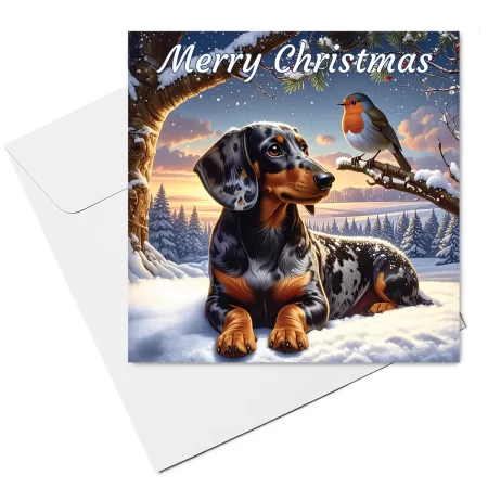 dachshund christmas card & envelope - dapple dachshund with robin