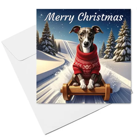 italian greyhound christmas card & envelope