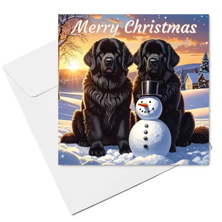 newfoundland christmas card & envelope