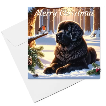 newfoundland christmas card & envelope