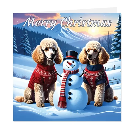 poodle christmas card