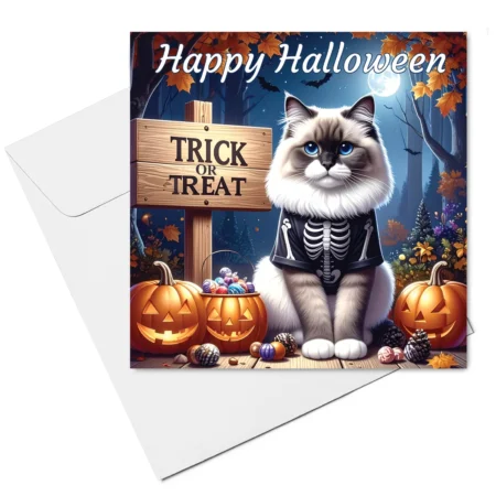 ragdoll cat halloween card & envelope