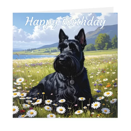 scottish terrier birthday card