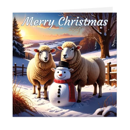 sheep christmas card