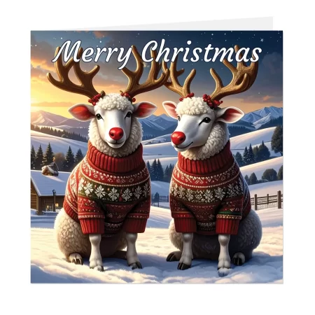 sheep christmas card