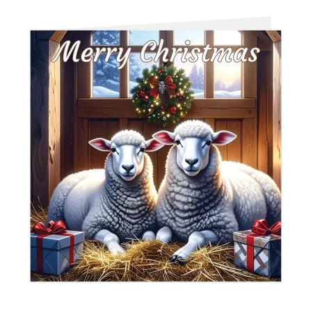 sheep christmas card