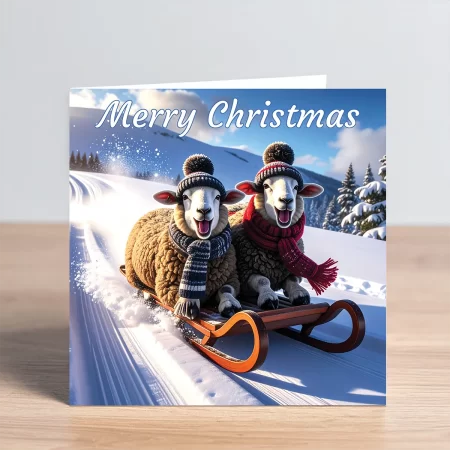 sheep christmas card on sled